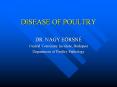 FM. r. Notifiable Diseases Diseases of Poultry    Zoonosi