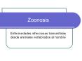 Zoonosis Enfermedades infecciosas transmitidas desd
