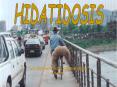 TNS PREVENCION DE RIESGOS UNAP  QU  ES LA HIDATIDOSIS? E