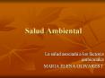 Salud Ambiental La salud asociada a los factores ambientale