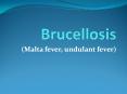 (Malta fever, undulant fever) * Definition: Brucellosis is 