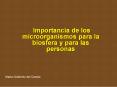 Importancia de los microorganismos para la biosfera y par