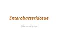 Enterobacterias Campylobacter Factores de patogenicidad: 1