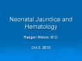 Neonatal Jaundice and Hematology Raegan Wetzel, M.D. Oct 5