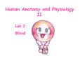 ... pernicious anemia iron deficiency anemia sickle cel