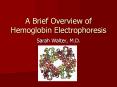 A Brief Overview of Hemoglobin Electrophoresis Sarah Walter