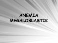 ANEMIA MEGALOBLASTIK ANEMIA MEGALOBLASTIK Kelainan kuran