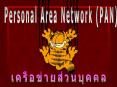 Personal Area Network (PAN) PAN    