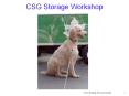 CSG Storage Workshop Workshop Team Bruce Vincent (Stanford