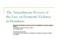 This model for legislation on domestic violence was a resul