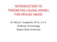 INTRODUCTION TO THEORETIAL CAUSAL MODEL FOR SPOUSE ABUSE Dr