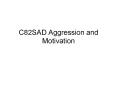 C82SAD Aggression and Motivation Aggression Aggression i