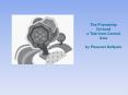 The Friendship Orchard a Tale from Central Asia by Pleasan