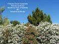 FRIENDSHIP WITH JESUS A friend of Jesus! O what bliss Tha
