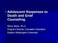 Adolescent Responses to Death and Grief Counseling Mart