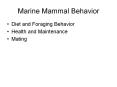Marine Mammal Behavior Diet and Foraging Behavior Health an