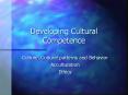 Developing Cultural Competence Culture, Cultural pattern