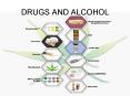 DRUGS AND ALCOHOL Hard vs. Soft Drugs Some drugs ar