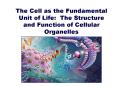 The Cell as the Fundamental Unit of Life: The Structure an