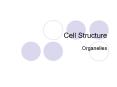 Cell Structure Organelles Recall the Characteristics of Lif