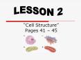  Cell Structure  Pages 41   45 CHLOROPLASTS Green organelle