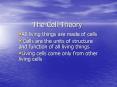 The Cell Theory All living things are made of cells Cell