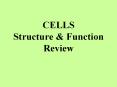 CELLS Structure & Function Review What is the function o
