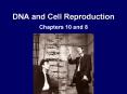 DNA and Cell Reproduction Chapters 10 and 8 Structure of DN