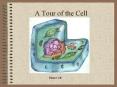 A Tour of the Cell Plant Cell Cells Eukaryotic cells