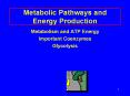 Metabolic Pathways and Energy Production Metabolism and AT