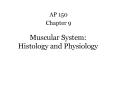 AP 150 Chapter 9 Muscular System: Histology and Physiolog