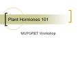 Plant Hormones 101 MUPGRET Workshop What are hormones?  