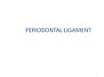 PERIODONTAL LIGAMENT * INTER-RADICULAR FIBERS Th