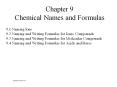 Chapter 9 Chemical Names and Formulas 9.1 Naming Ions 9.