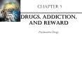 CHAPTER 5 Drugs, Addiction, and Reward Psychoactive Drugs 