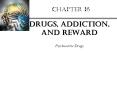 CHAPTER 16 Drugs, Addiction, and Reward Psychoactive Drugs 