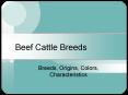 Beef Cattle Breeds Breeds, Origins, Colors, Characteristic