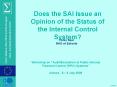 Does the SAI Issue an Opinion of the Status of the Interna