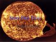 Stars Part Two: Stellar Evolution Stars Part Two: Stella