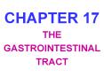 CHAPTER 17 THE GASTROINTESTINAL TRACT THE GI TRACT Esophagu