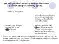 IgG and IgM based immunopathological reaction (reaction o