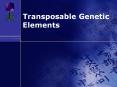 Transposable Genetic Elements Transposable Genetic Element