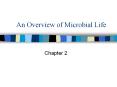 An Overview of Microbial Life Chapter 2 * * Top pictur
