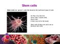 Stem cells Stem cells are  generic  cells that develop int