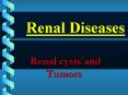 Renal Diseases Renal cysts and Tumors CYSTIC DISEASES OF TH