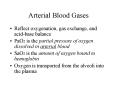 Arterial Blood Gases Reflect oxygenation, gas exchange, an