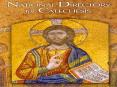 Introduction Vision  The Vision for Catechesis is totall