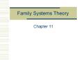 Family Systems Theory Chapter 11 The Case of Jean and Derri
