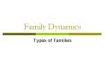 Family Dynamics Types of Families Actual Definition o