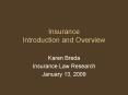 Insurance Introduction and Overview Karen Breda Insuranc